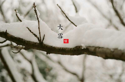 大雪