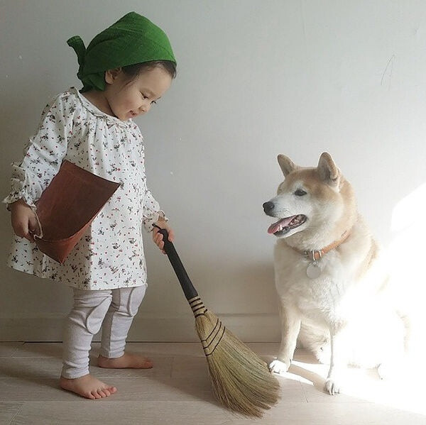 小萝莉 柴犬 宝宝 萌宝 娃娃 小孩 狗狗 宠物 儿童 萝莉 卖萌 可爱