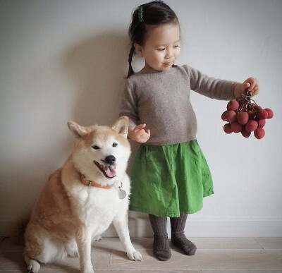 小萝莉 柴犬 宝宝 萌宝 娃娃 小孩 狗狗 宠物 儿童 萝莉 卖萌 可爱