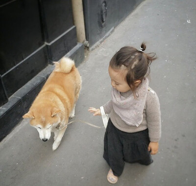 小萝莉 柴犬 宝宝 萌宝 娃娃 小孩 狗狗 宠物 儿童 萝莉 卖萌 可爱