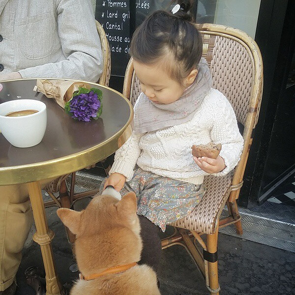 小萝莉 柴犬 宝宝 萌宝 娃娃 小孩 狗狗 宠物 儿童 萝莉 卖萌 可爱