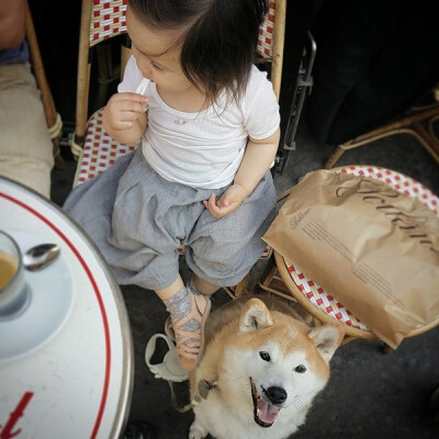 小萝莉 柴犬 宝宝 萌宝 娃娃 小孩 狗狗 宠物 儿童 萝莉 卖萌 可爱