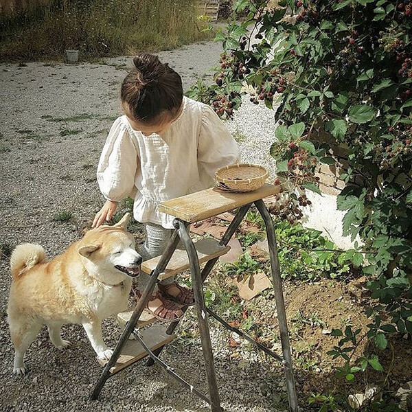 小萝莉 柴犬 宝宝 萌宝 娃娃 小孩 狗狗 宠物 儿童 萝莉 卖萌 可爱