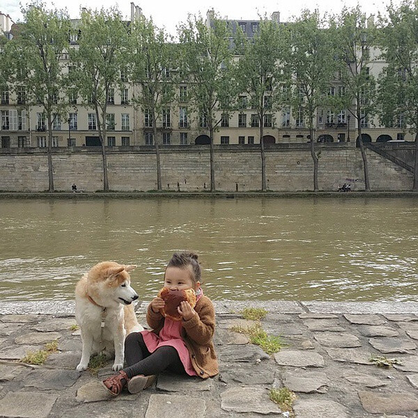 小萝莉 柴犬 宝宝 萌宝 娃娃 小孩 狗狗 宠物 儿童 萝莉 卖萌 可爱