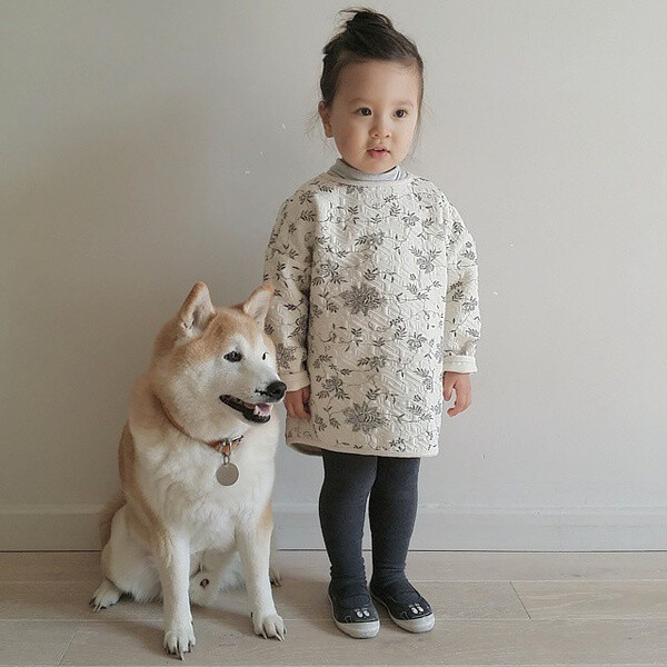 小萝莉 柴犬 宝宝 萌宝 娃娃 小孩 狗狗 宠物 儿童 萝莉 卖萌 可爱