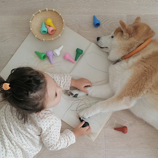 小萝莉 柴犬 宝宝 萌宝 娃娃 小孩 狗狗 宠物 儿童 萝莉 卖萌 可爱