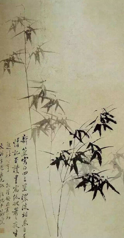 《兰竹菊》郑板桥（1693-1765）应科举为康熙秀才，雍正十年举人，乾隆元年（1736）进士。工诗、词，善书、画。诗词不屑作熟语。画擅花卉木石，尤长兰竹。兰叶之妙以焦墨挥毫，藉草书中之中竖，长撇运之，多不乱，少…