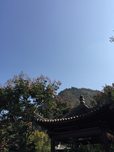 11月的秦岭观音禅寺 静谧 安详