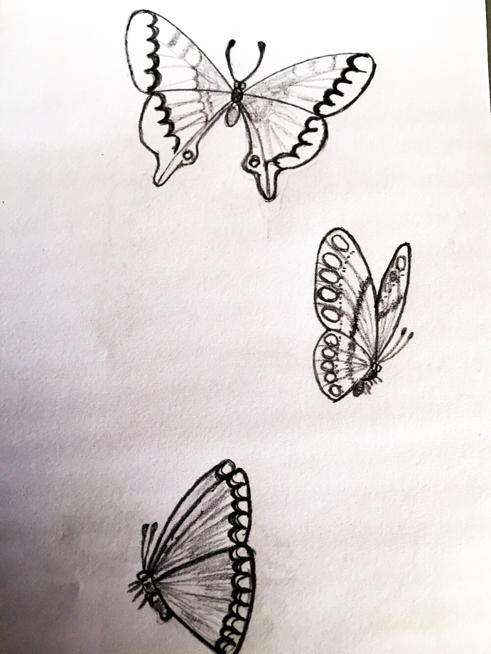 怎么画一只蝴蝶铅笔画图片