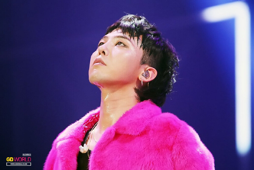 gd in 2015mma