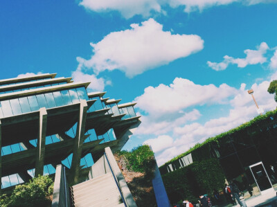 Geisel Library- where I spent my good time in.