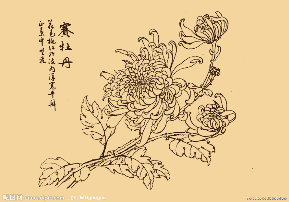秋菊
