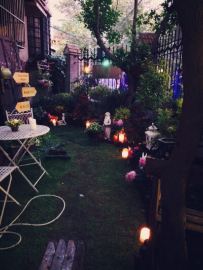 花店日常，花园终于完工啦。☺