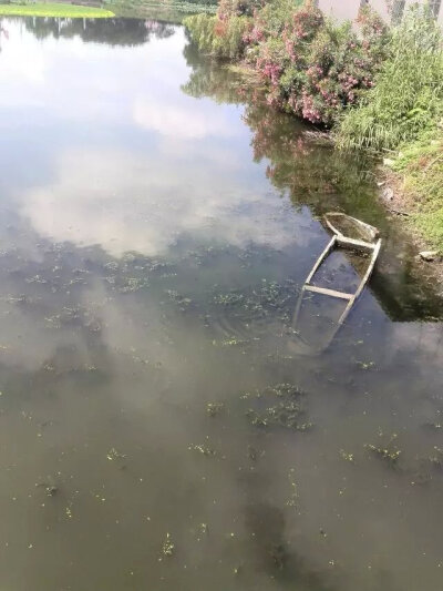 一年前自己拍的
