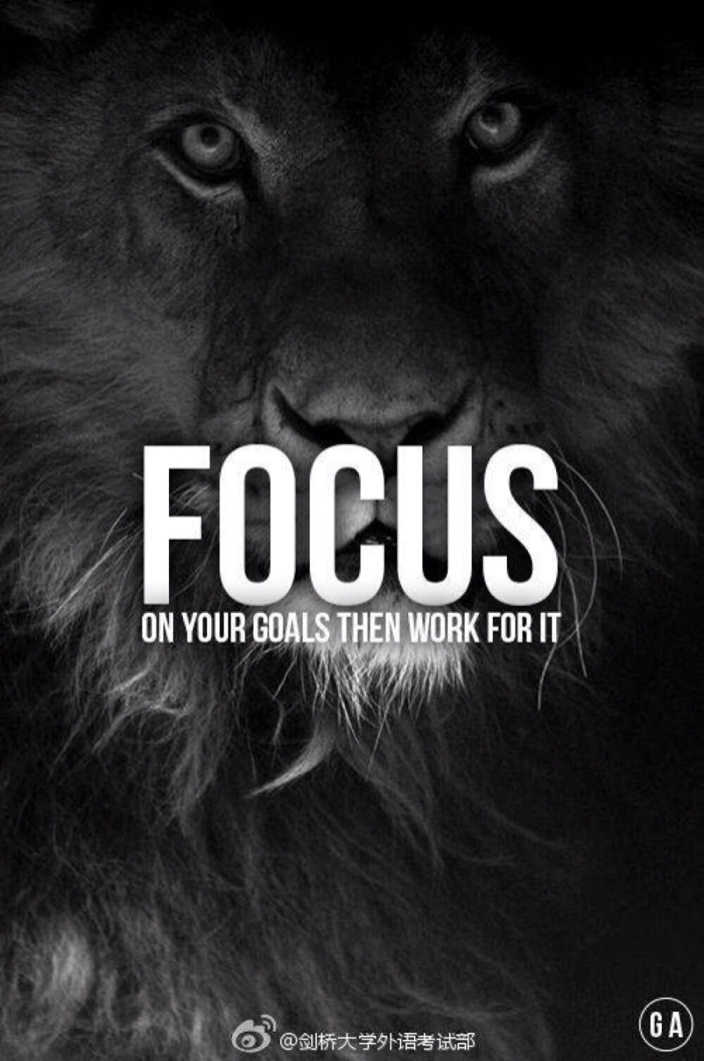 focus