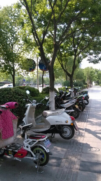 美丽连云港街头