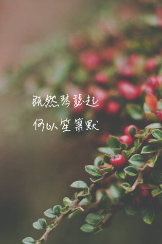 《何以笙箫默》经典语录