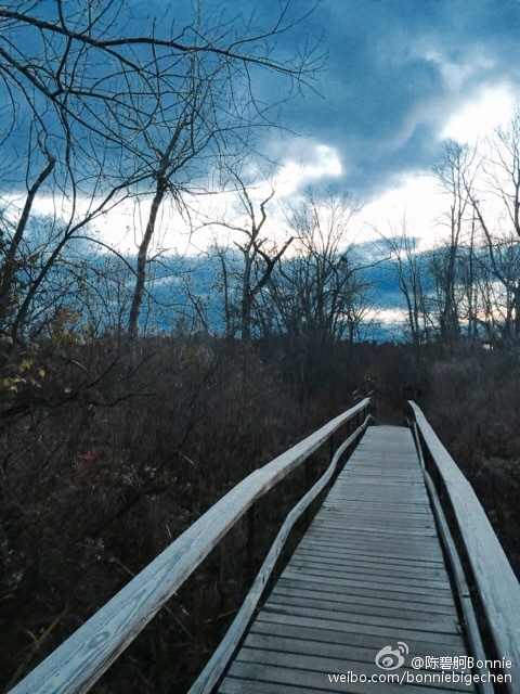 我一度以为，上年已是最好的秋天，直到我放下回忆靠近海，拥抱落叶云彩，缠绕寒风山脉，找不落的灯塔，走不乱的栈桥，抓不朽的霞光～