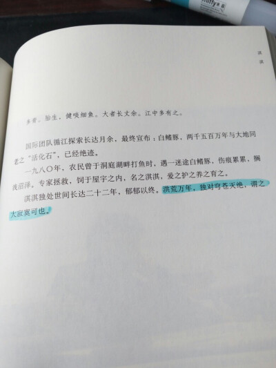 “洪荒万年，独对苍穹灭绝，谓之大寂寞可也” ——《目送·淇淇》