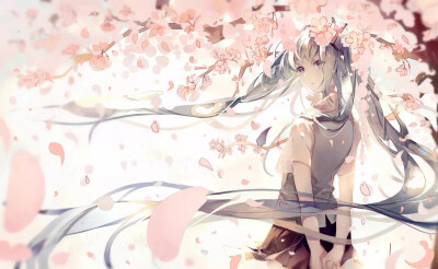 初音 樱花