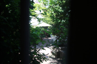 #堆糖遇见坚果#鼓浪屿，褚家花园窗外的一瞥。