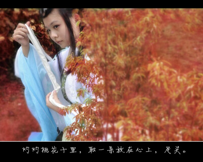 三生三世十里桃花