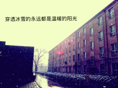 拍于大学