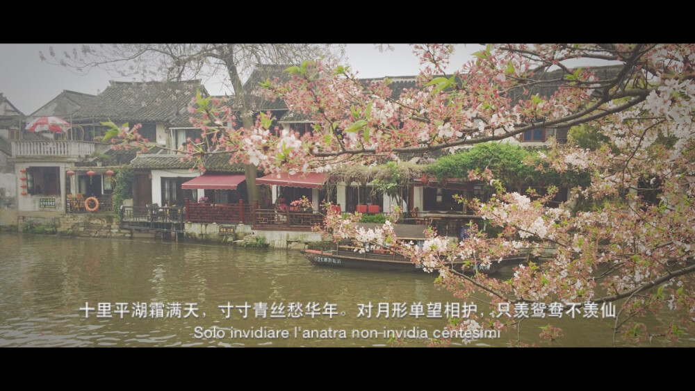 #堆糖遇见坚果#西塘，青石板路微湿，细雨打在房顶，人虽熙熙攘攘，景色却静的极美。