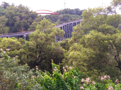 金鸡山栈道