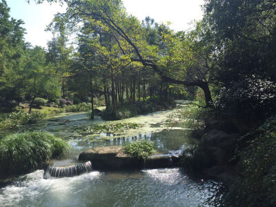 离客栈不远的一处小景，已令我心驰不已