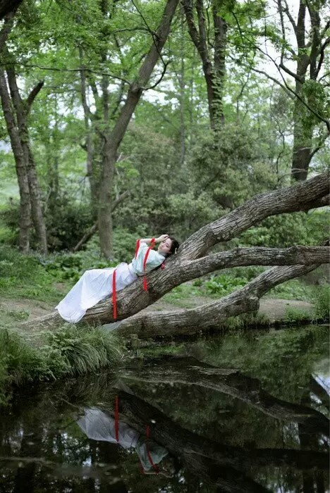 日子如流水，倏然间滑过去了…… 时光老了，老在清晨的鸟喧里，老在院落的蔷薇架下。 恍惚间，烟尘散尽，时光流转，依然是洁净清美少年时。 越来越喜欢安静了，安静多好啊！ 我行我素，按部就班的过着想要的日子，与纷扰无关，与羁绊无关， 像一池小荷，就那样素素的开，饮清露，汲月华，兀自芬芳着。 在暗波浊流里，孑立娉婷，无语最堪怜。心如简，将一切删繁吧！ 不爱聚众的女子