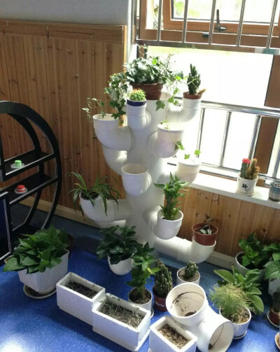 植物柱