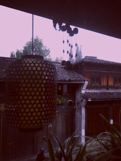 #堆糖遇见坚果#午后小歇