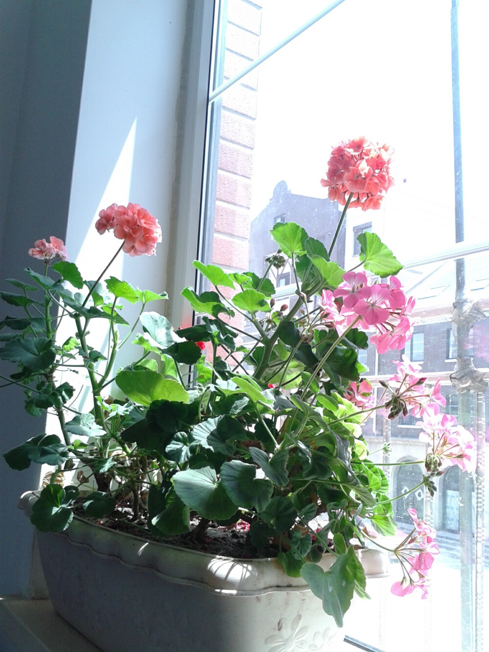 去年，5月，午饭时。。阳光很明媚。
