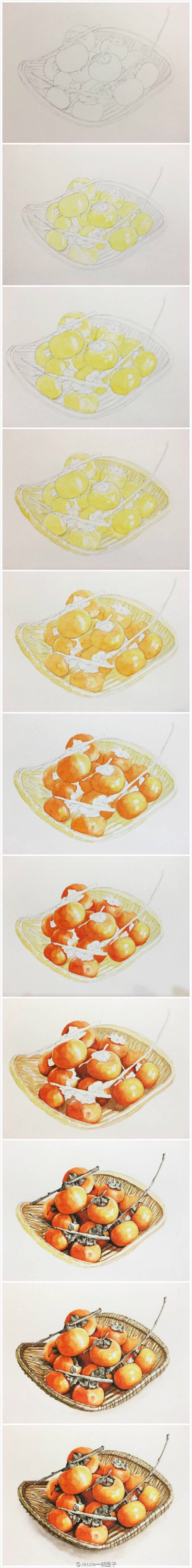 水彩柿子过程