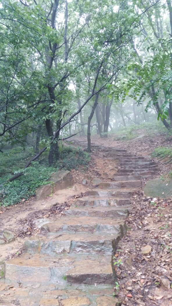 #堆糖遇见坚果#雾气缭绕的无锡惠山