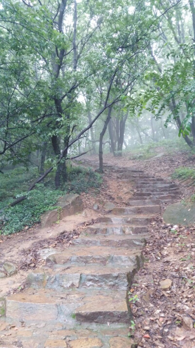 #堆糖遇见坚果#雾气缭绕的无锡惠山