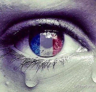 Pray for Paris. 巴黎