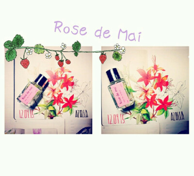 #安利好货# Fragonard花宫娜 这款有个很好听的名字叫做{ Rose de Mai }五月玫瑰淡香水，这瓶是家人从法国带回来的小样 自从使用了一次 就沉醉在它的玫瑰气味里 无法自拔. 它的香味可以用四个字来概括：高级优雅。虽…