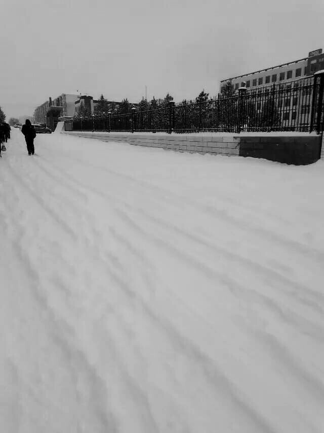 #堆糖遇见坚果# 雪白的雪