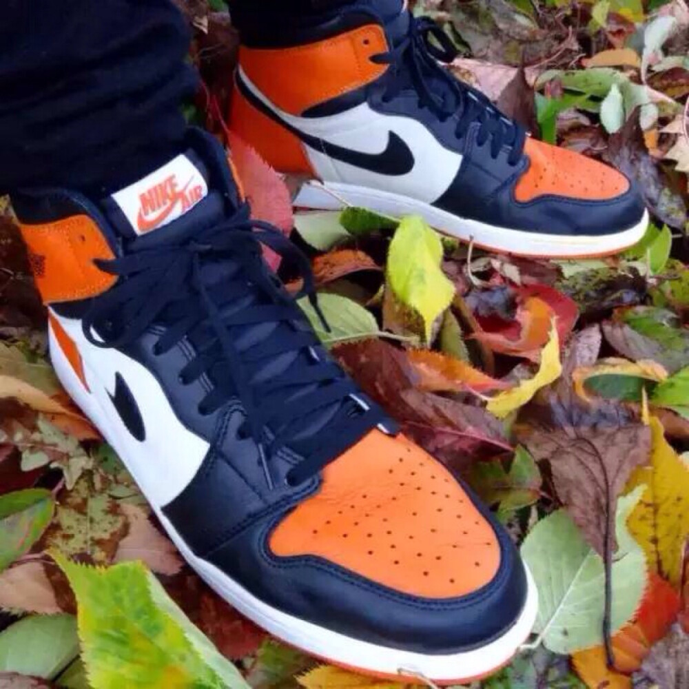 AJ1 Retro High OG “Shattered Backboard”