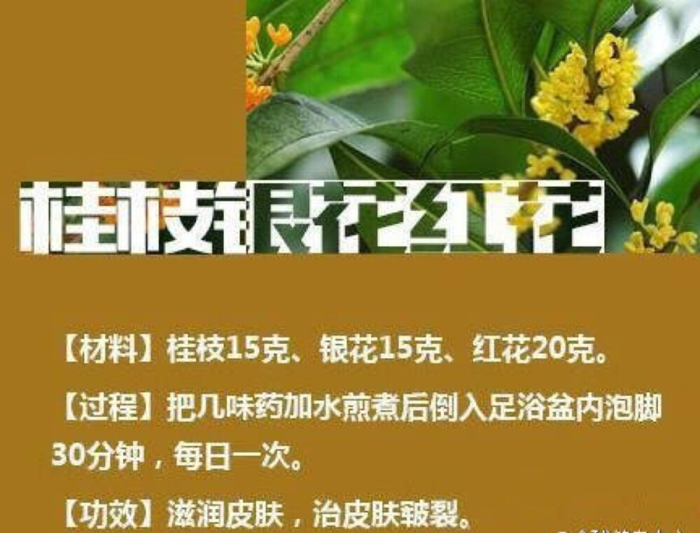 【中药泡脚】睡前泡泡脚，养生又保健?；锇槊牵兆呤允赃聗