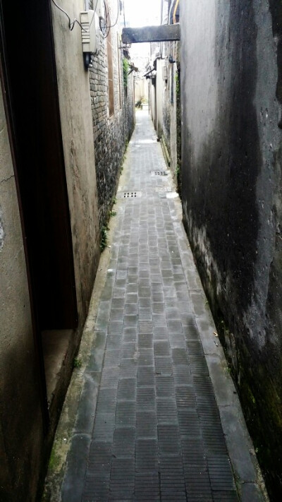 那条巷