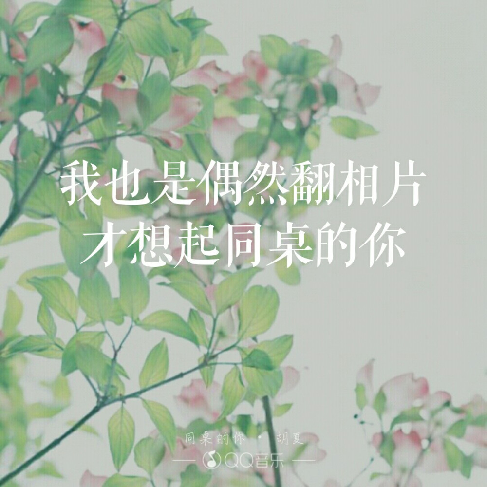 《同桌的你》——胡夏