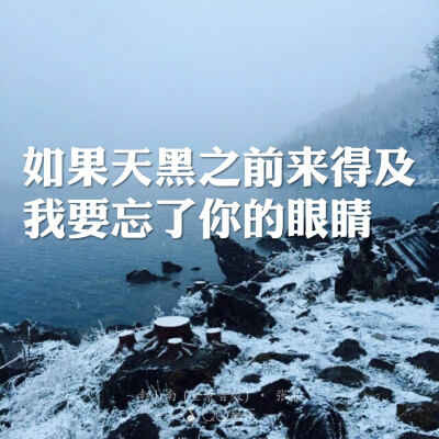 《南山南》——张磊