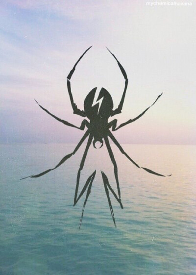 SPIDER