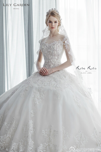 每个女孩的梦想