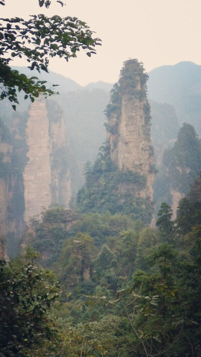 张家界 武陵源风景区