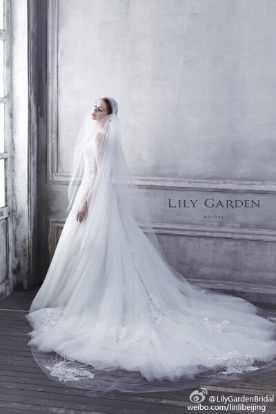 每个女孩的梦想