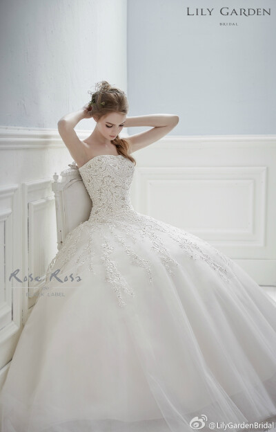 每个女孩的梦想